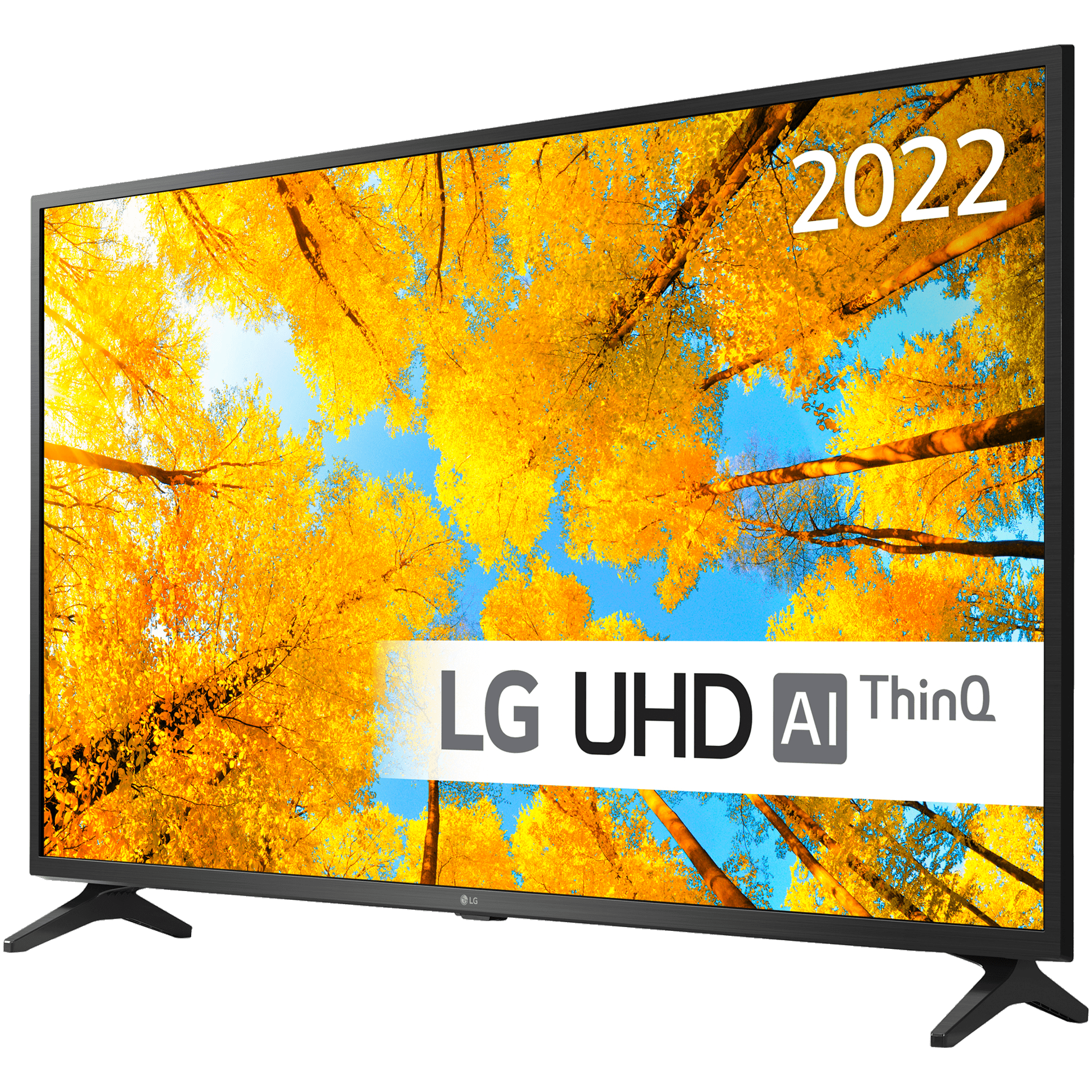 LG 55