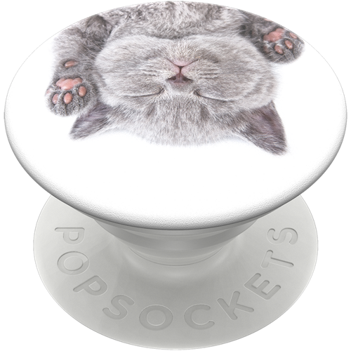 popsockets-popgrip-catnap-01