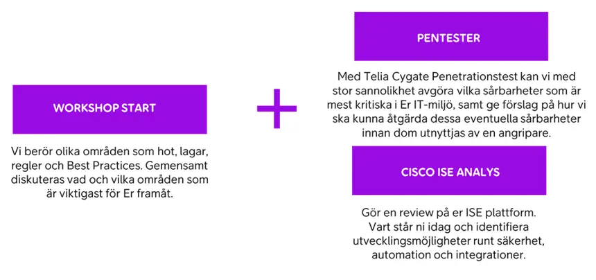 Figur som beskriver erbjudande inom säkerhet